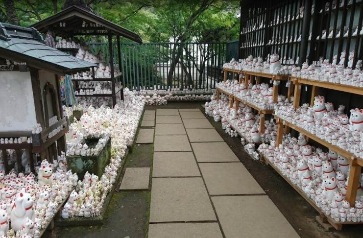 Mais de 10 mil 'gatos da sorte' decoram templo no Japão