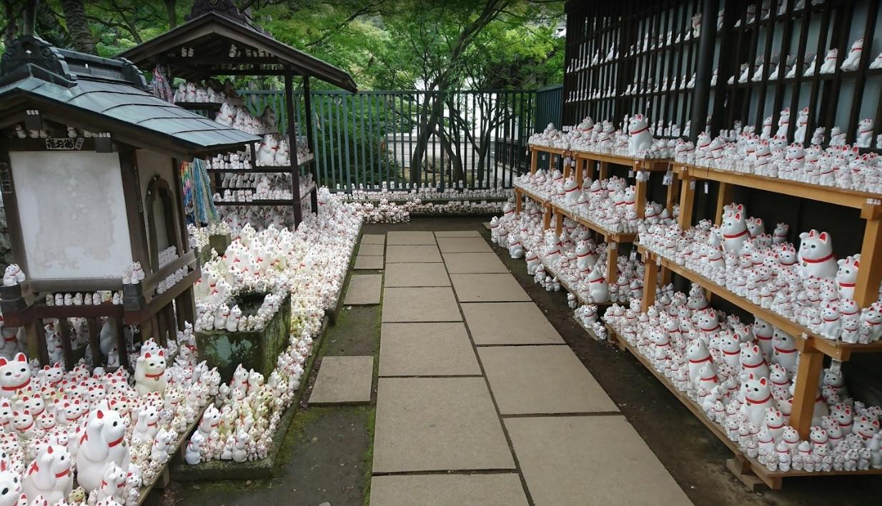 Em Tóquio, templo de gatos da sorte atrai instagramers de todo
