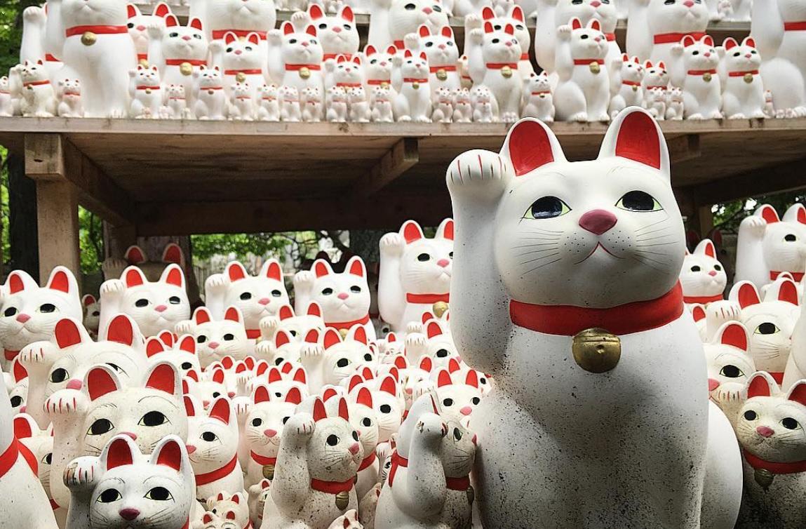 Em Tóquio, templo de gatos da sorte atrai instagramers de todo